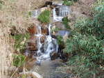 DSCN4424.JPG