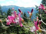 DSCN4569.JPG