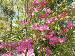 DSCN4576.JPG