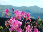 DSCN4581.JPG