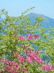 DSCN4586.JPG