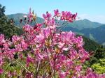DSCN4589.JPG