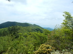 DSCN4600.JPG