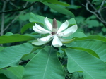DSCN4605.JPG