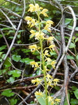 DSCN4611.JPG