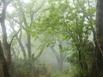 DSCN4644.JPG