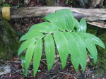 DSCN4645.JPG