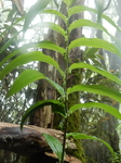 DSCN4646.JPG