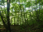 DSCN4657.JPG