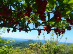 DSCN4658.JPG