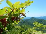 DSCN4660.JPG