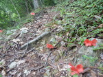 DSCN4674.JPG