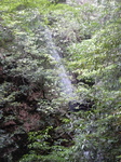 DSCN4676.JPG