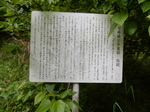 DSCN4680.JPG