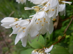 DSCN4681.JPG