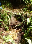 DSCN4687.JPG