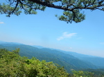 DSCN4694.JPG