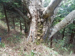 DSCN4700.JPG