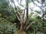 DSCN4701.JPG
