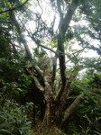 DSCN4702.JPG