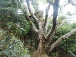 DSCN4703.JPG