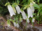 DSCN4707.JPG