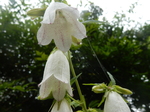 DSCN4708.JPG