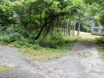 DSCN4709.JPG