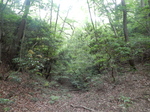 DSCN4717.JPG