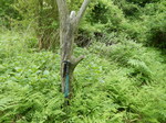 DSCN4721.JPG