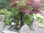 DSCN4725.JPG