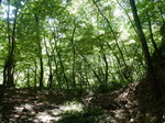 DSCN4730.JPG