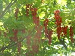 DSCN4739.JPG