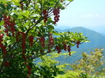 DSCN4743.JPG