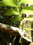 DSCN4749.JPG
