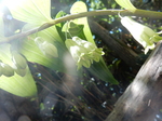 DSCN4752.JPG