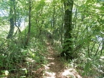 DSCN4757.JPG