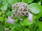 DSCN4762.JPG