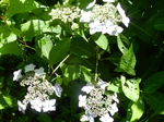 DSCN4765.JPG
