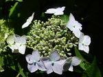 DSCN4766.JPG