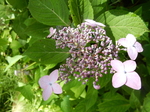 DSCN4767.JPG