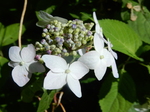 DSCN4768.JPG