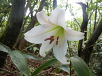 DSCN4771.JPG