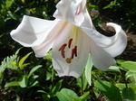 DSCN4773.JPG