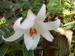 DSCN4778.JPG