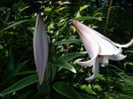 DSCN4779.JPG