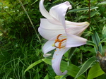 DSCN4780.JPG