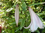 DSCN4782.JPG