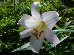 DSCN4783.JPG