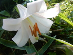 DSCN4784.JPG